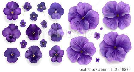 Violet flower vector Violet flower vector 112348823