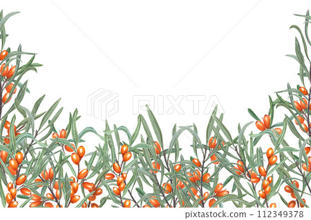 Bright sea buckthorn. Ripe orange berries with green leaves. Lush branches. Rhamnoides, sallowthorn, sandthorn. Watercolor illustration. Horizontal frame with copy space for text 112349378