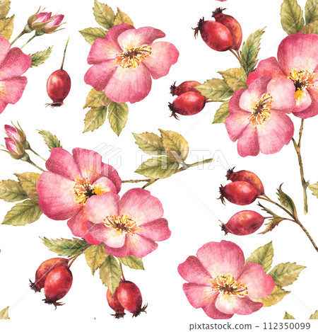 Watercolor pink wild rose hip branch with buds, flower, leaves, berry fruits, dog or brier rose. Floral seamless pattern for print, fabric, wallpaper Hand drawn illustration isolated white background. 112350099