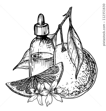 Orange Essential Oil with slices of Fruit. Hand drawn vector illustration of vintage transparent Bottle for aroma therapy in line art style. Retro flacon for cosmetic citrus flavor in black colors. 112351630
