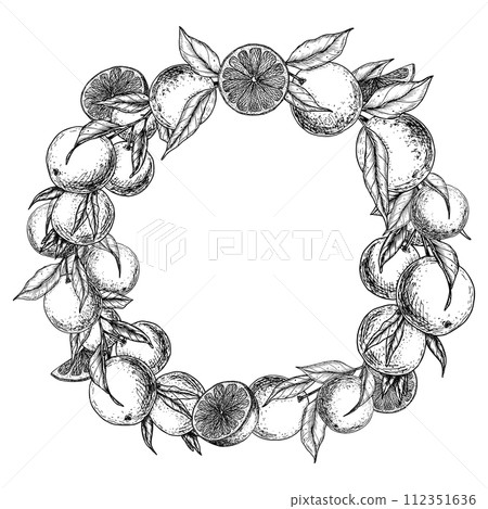 Wreath with Orange Fruits. Hand drawn vector illustration of circular Frame with citrus food and leaves in white and black colors. Linear border with tropical mandarins for product icon or logo. Wreath with Orange Fruits. Hand drawn vector illustration of circular Frame with citrus food and leaves in white and black colors. Linear border with tropical mandarins for product icon or logo. 112351636