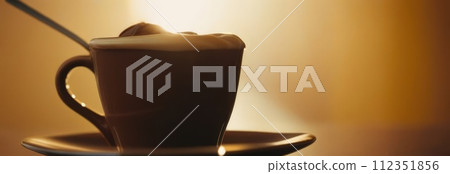 Delicious cup of ice cream sits on table in front of window, basking in natural light. For advertising, banner, relaxation, lifestyle, menu, food, dessert, culinary or cafe themed content. Copy space. 112351856