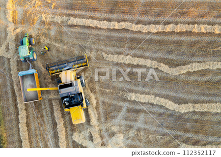 Aerial view of combine harvesting wheat harvest. Aerial view of combine harvesting wheat harvest. 112352117