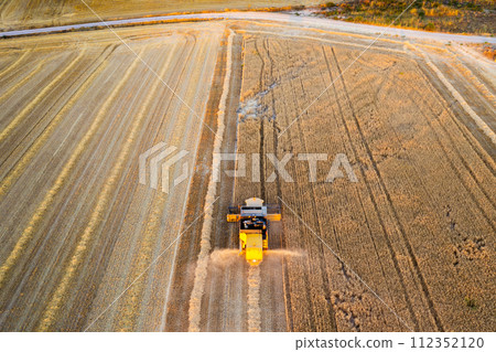 Aerial view of combine harvesting wheat harvest. 112352120