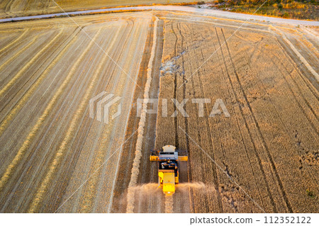 Aerial view of combine harvesting wheat harvest. 112352122