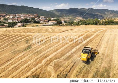 Aerial view of combine harvesting wheat harvest. 112352124