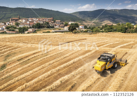 Aerial view of combine harvesting wheat harvest. Aerial view of combine harvesting wheat harvest. 112352126