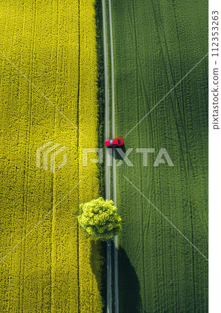 toscana countryside fields, a small red car on a narrow road toscana countryside fields, a small red car on a narrow road 112353263