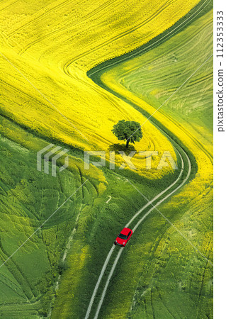 toscana countryside  fields, a small red car on a narrow road 112353333