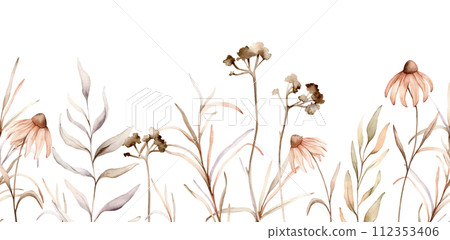 seamless border with watercolor botanical autumn illustration echinacea branches flowers. Autumn floral illustration. Fall vibes. Hand painted drawing isolated background. floral herds pastel color 112353406