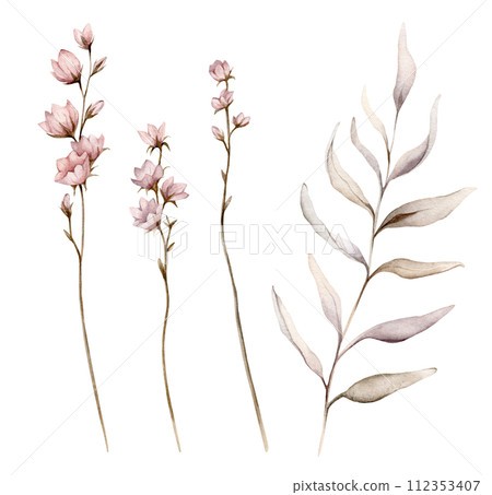 Set of watercolor botanical autumn illustration branches and flowers. Autumn floral illustration. Fall vibes. Hand painted drawing isolated on white background. elegant floral herds pastel color 112353407