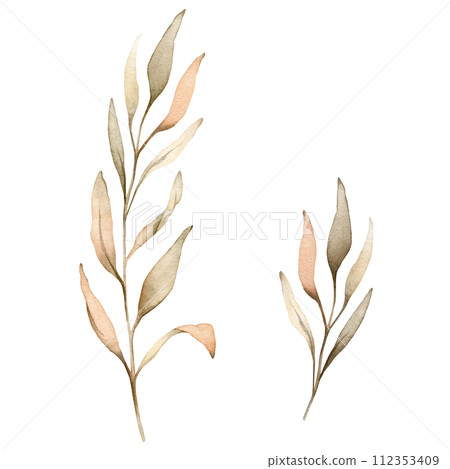 Set of watercolor botanical autumn illustration branches. Autumn floral illustration. Fall vibes. Hand painted drawing isolated on white background. elegant floral herds pastel color. Cute plants 112353409
