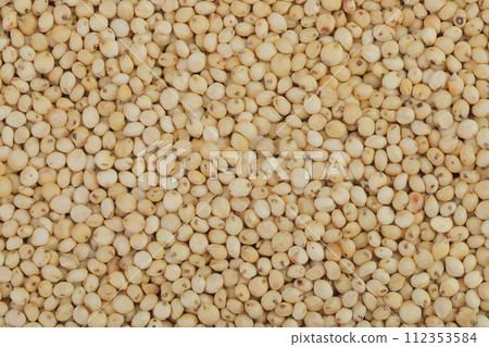 background of sorghum seeds. Top view. Flat lay. background of sorghum seeds. Top view. Flat lay. 112353584