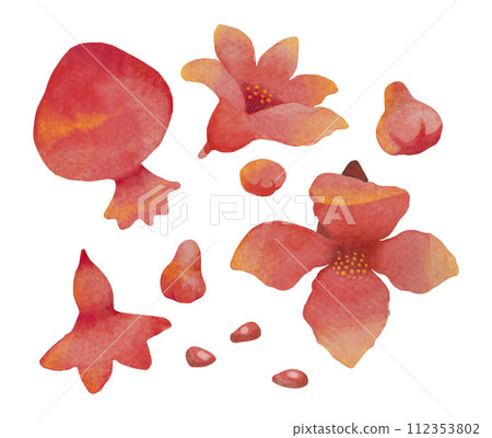 Watercolor pomegranate fruits with seeds and flowers clipart. Botanical illustration set. Watercolor pomegranate fruits with seeds and flowers clipart. Botanical illustration set. 112353802