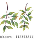 Watercolor green pomegranate leaves on branch tree 112353811