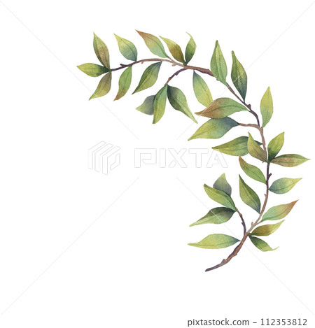 Watercolor green pomegranate leaves on branch tree Watercolor green pomegranate leaves on branch tree 112353812