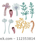 Watercolor green seaweed. Transparent fresh sea plant isolated on white. Realistic botanical illustrations collection. 112353814