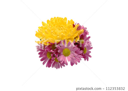 白色背景上的菊花花束 112353832