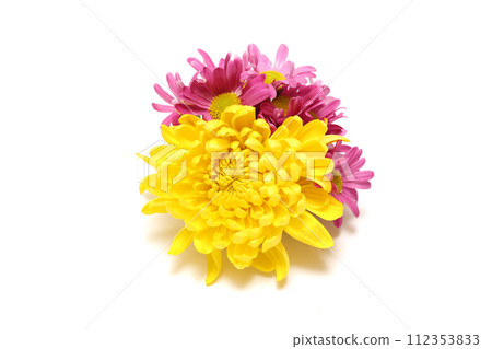 白色背景上的菊花花束 112353833