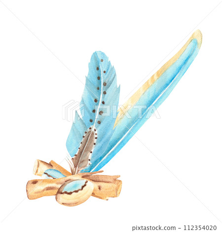 Watercolor composition from small sea shells and pebbles, wooden stocks and blue feathers isolated on white background. Botanical hand drawn illustration. 112354020