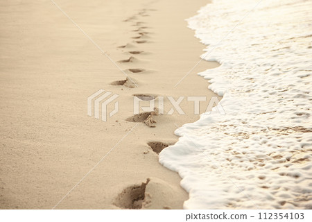 Footprints in the sand Footprints in the sand 112354103