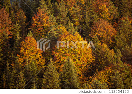 Autumn mountain landscape 112354133