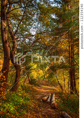 Beautiful autumn landscape Beautiful autumn landscape 112354140