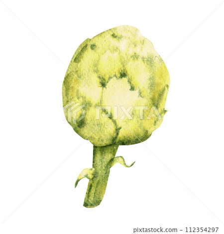 Watercolor artichoke. Hand painted vegetable illustration in vintage style isolated on a white background. 112354297