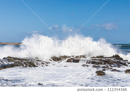 「青森縣」洶湧的海浪拍打著岩石,濺起的浪花 「青森縣」洶湧的海浪拍打著岩石,濺起的浪花 112354386