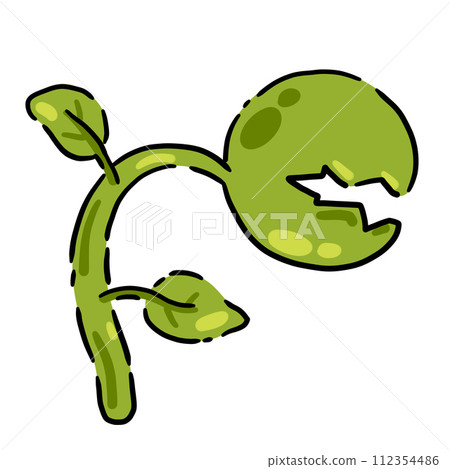 Predatory plant. Venus flytrap. Flycatcher flower character with teeth. Exotic tropical plant. Flat fantastic cartoon isolated on white Predatory plant. Venus flytrap. Flycatcher flower character with teeth. Exotic tropical plant. Flat fantastic cartoon isolated on white 112354486