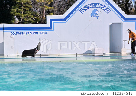 Shinagawa Aquarium Sea Lion Sea Lion Show Shinagawa Aquarium Sea Lion Sea Lion Show 112354515