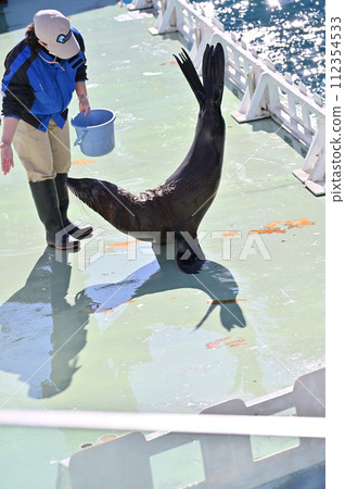 Shinagawa Aquarium Sea Lion Sea Lion Show Shinagawa Aquarium Sea Lion Sea Lion Show 112354533