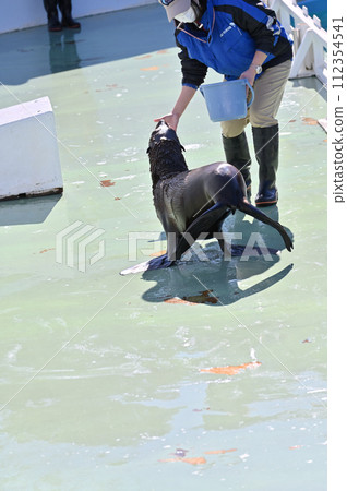 品川水族館海獅 海獅表演 112354541