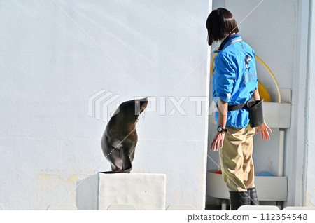 Shinagawa Aquarium Sea Lion Sea Lion Show Shinagawa Aquarium Sea Lion Sea Lion Show 112354548