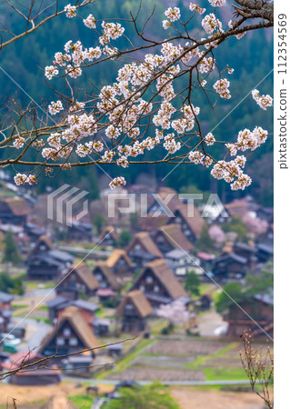 Spring Shirakawa Town 112354569
