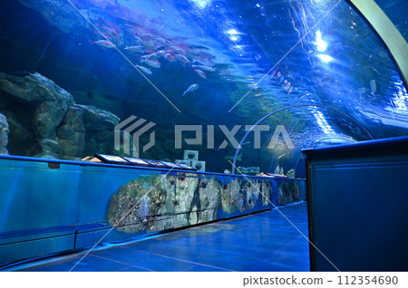 Shinagawa Aquarium 112354690