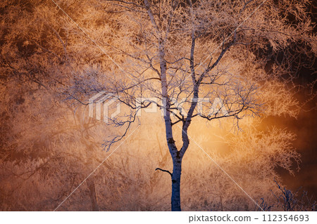 Fog ice and sunrise Fog ice and sunrise 112354693