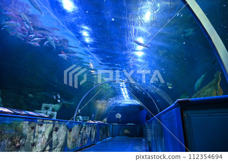 Shinagawa Aquarium Shinagawa Aquarium 112354694