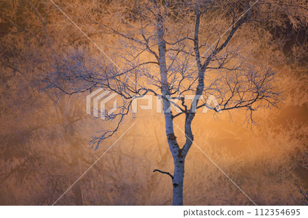 Fog ice and sunrise Fog ice and sunrise 112354695