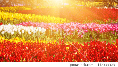 Emirgan Park, Istanbul 112355485