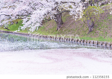 Spring scenery in Tohoku Hirosaki Castle's outer moat flower rafts 112356155