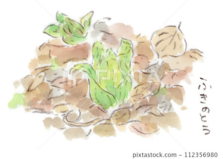 Fukinotou(Fukinotou)的水彩插圖,Fukinotou 是一種從冬季到早春的植物,從落葉之間發芽。 Fukinotou(Fukinotou)的水彩插圖,Fukinotou 是一種從冬季到早春的植物,從落葉之間發芽。 112356980