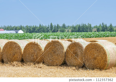 Summer in Hokkaido: northern land and barley rolls (Hokkaido image) Summer in Hokkaido: northern land and barley rolls (Hokkaido image) 112357362