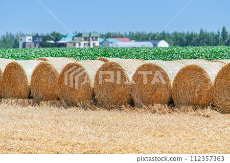 Summer in Hokkaido: northern land and barley rolls (Hokkaido image) 112357363