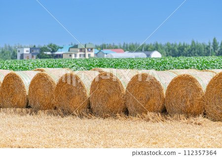 Summer in Hokkaido: northern land and barley rolls (Hokkaido image) Summer in Hokkaido: northern land and barley rolls (Hokkaido image) 112357364