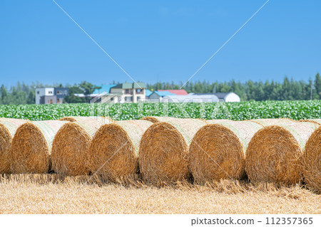 Summer in Hokkaido: northern land and barley rolls (Hokkaido image) 112357365