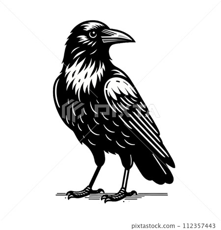 Crow illustration cute animal 112357443