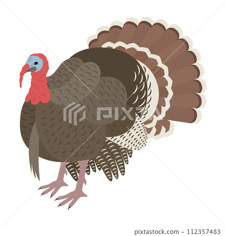 Turkey illustration 112357483