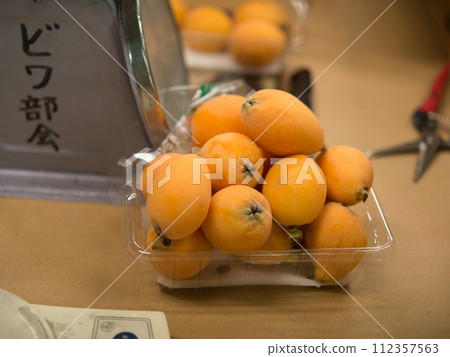 Shimozu loquat 112357563