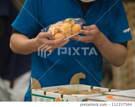 Shimozu loquat 112357564